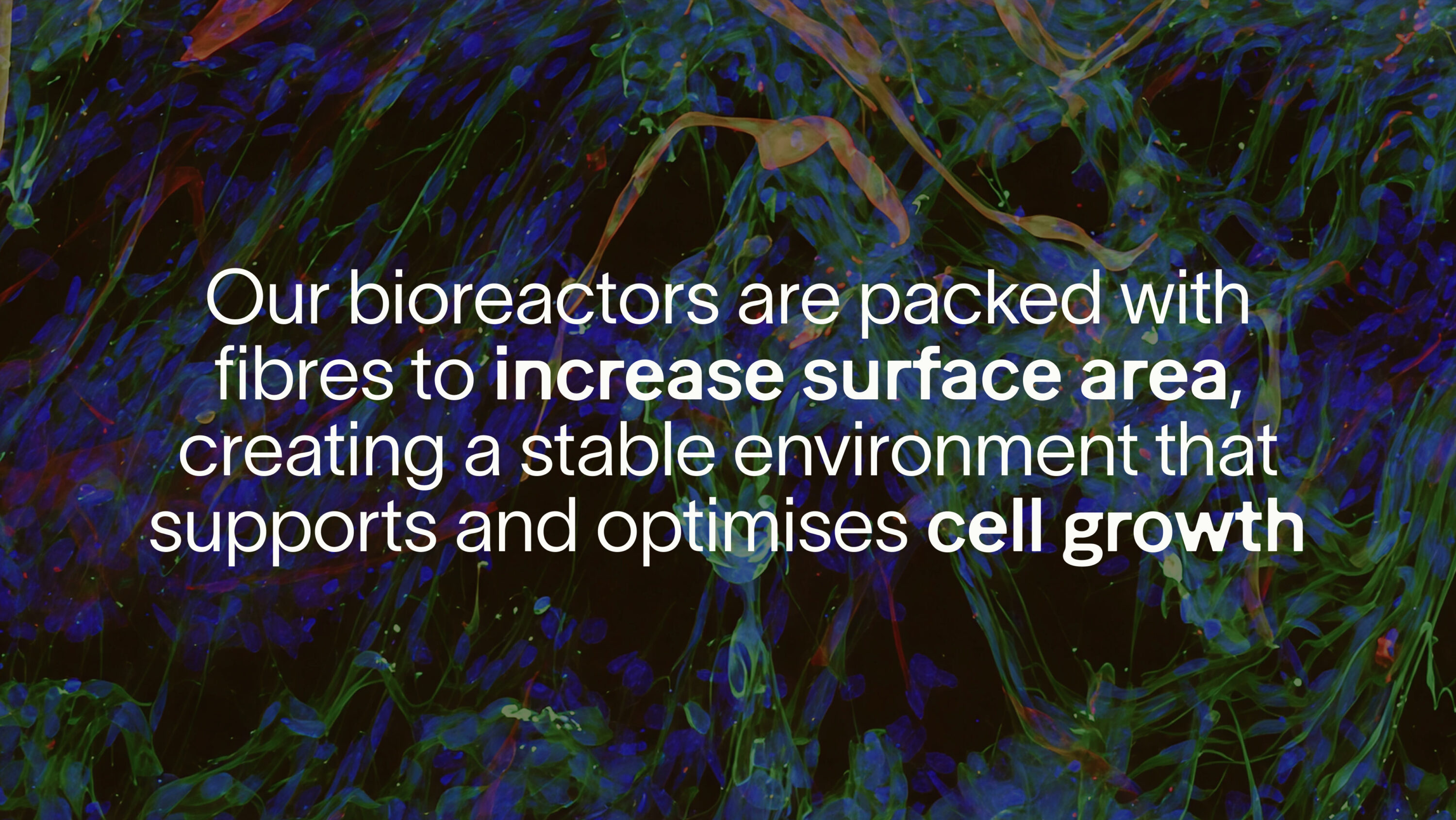 Text that reads 'Our bioreactors are packed with fibres to increase surface area, creating a stable environment that supports and optimises cell growth'. Background is abstract and dark.